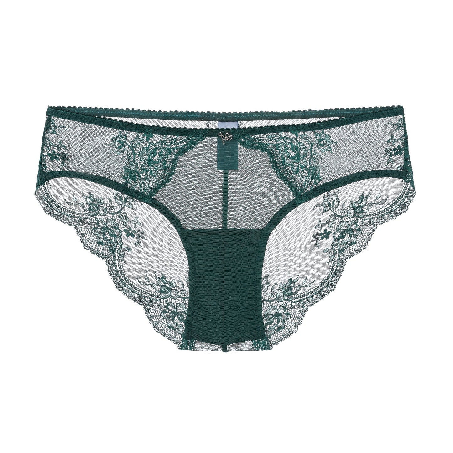 Stretch Lace & Mesh Cheeky