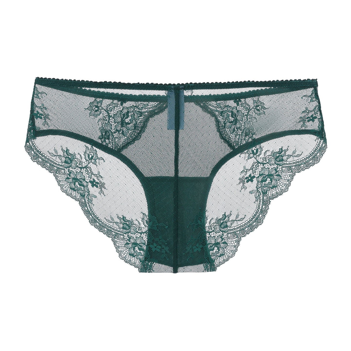 Stretch Lace & Mesh Cheeky