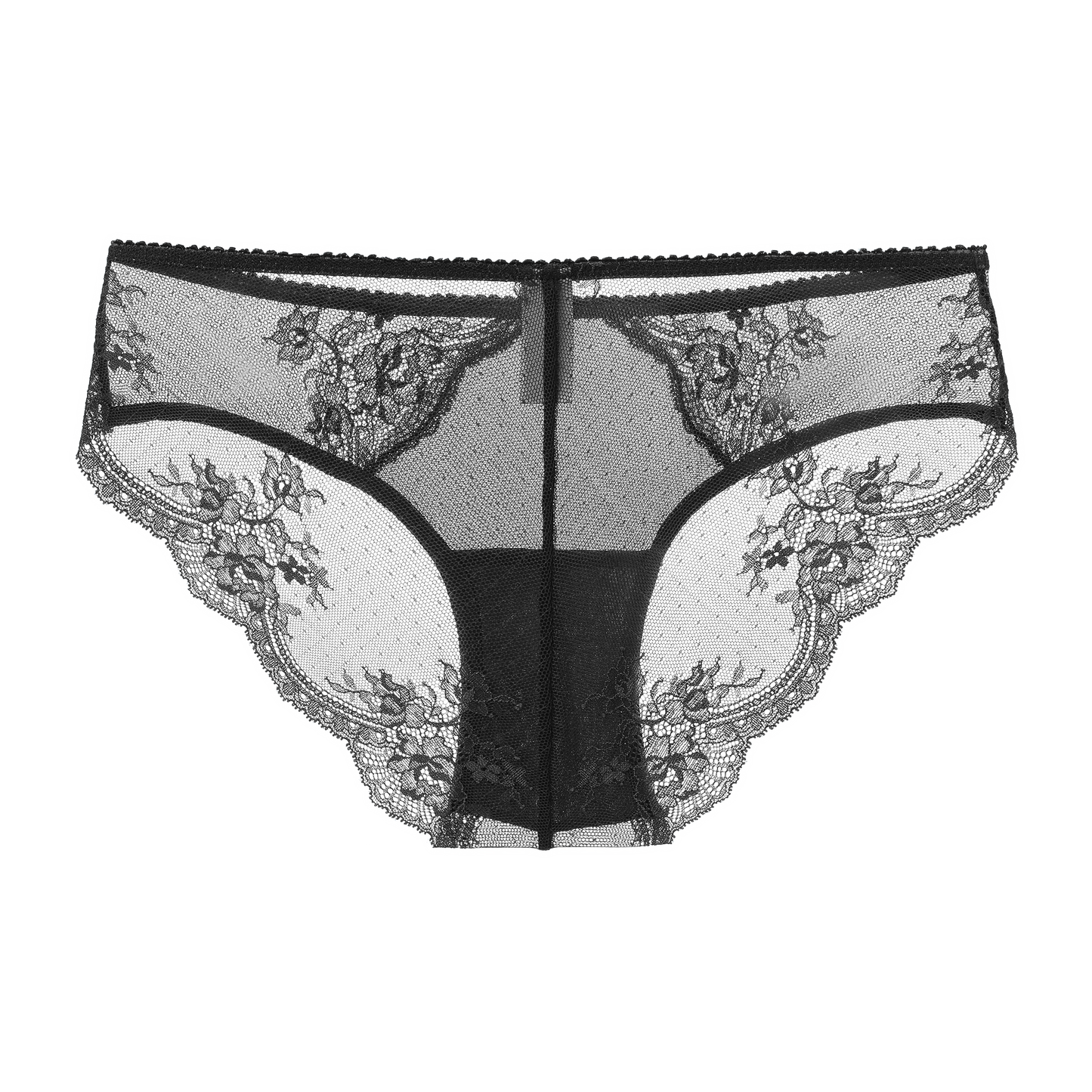 Stretch Lace & Mesh Cheeky