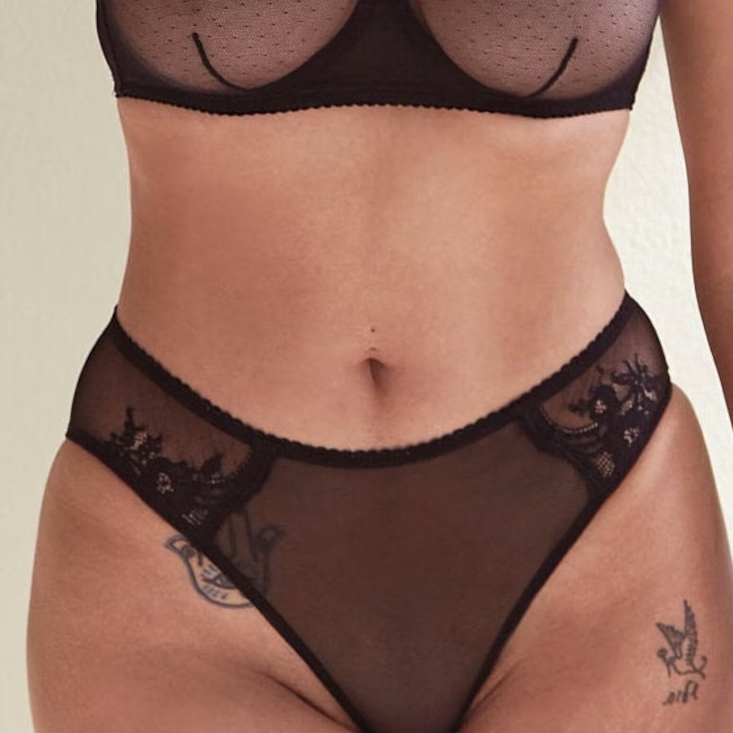 Stretch Lace & Mesh Hipster Brief